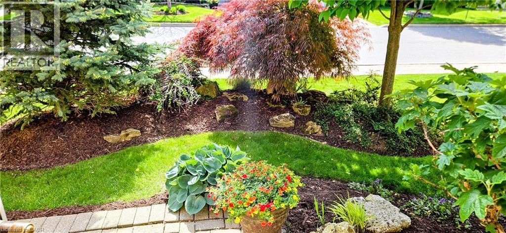 Front garden landscaping featuring a variety of mature plantings, decorative rock accents, and mulched beds - 165 Main Street E Unit# 9, Grimsby, ON - Outdoor