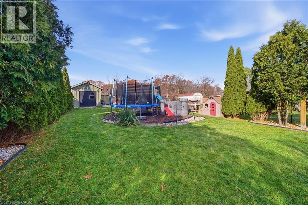 View of green lawn with a storage unit and a trampoline - 136 Braemar Avenue, Caledonia, ON - Outdoor
