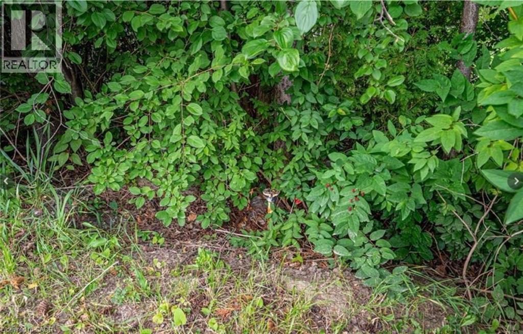 879 West 5Th Street, Hamilton, ON