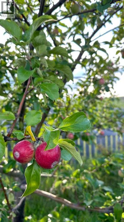 21054 A Range Road 264, Cardston, AB - Outdoor