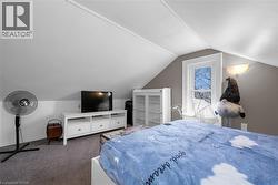 Bedroom featuring lofted ceiling and carpet flooring -