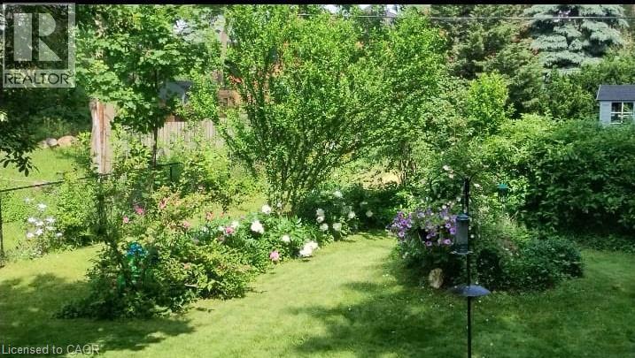 yard in summer - 25 Fairmount Avenue, Hamilton, ON - Outdoor