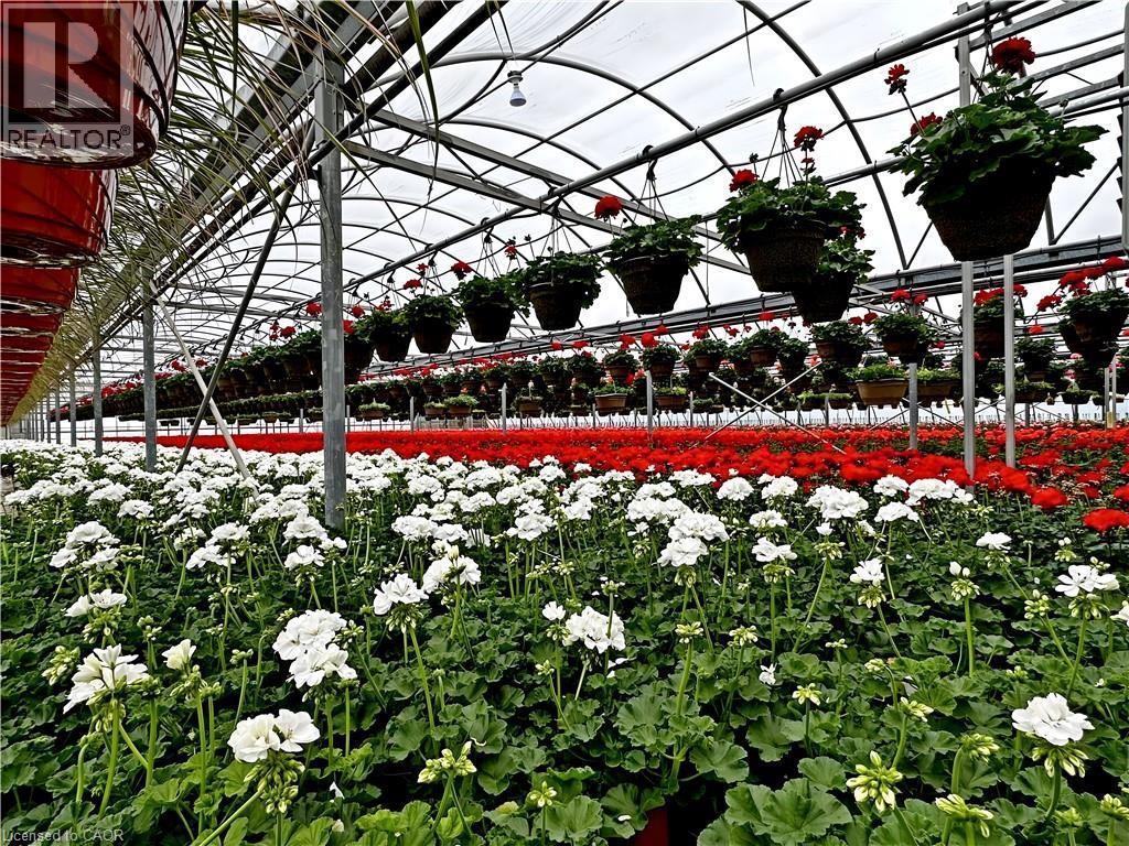 1101 Derry Road, Milton, ON -