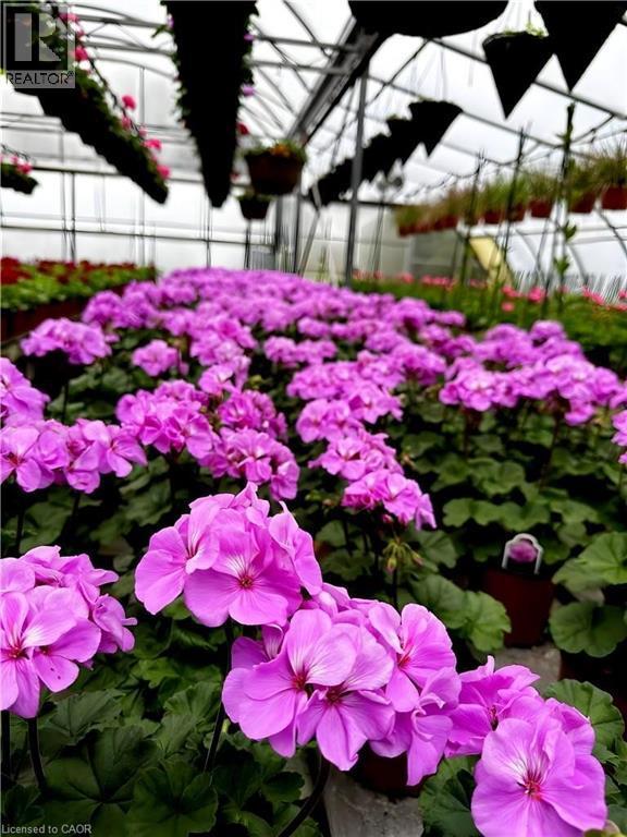 1101 Derry Road, Milton, ON