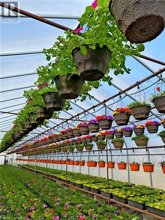 1101 Derry Road, Milton, ON