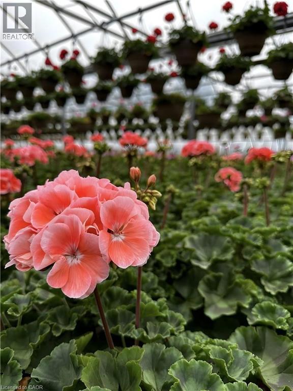 1101 Derry Road, Milton, ON