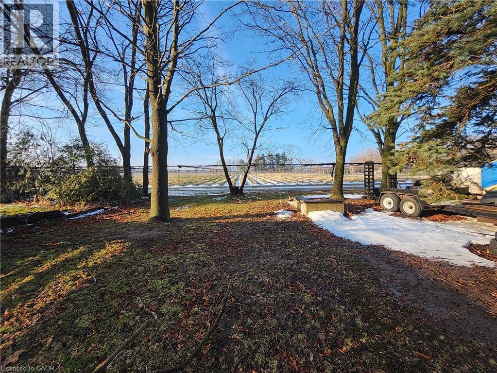 View of yard - 740 Hillcrest Road, Simcoe, ON - Outdoor With View