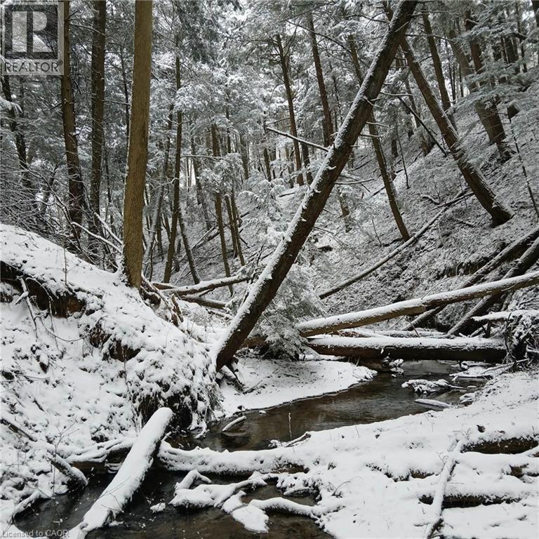 Snowy view - 535 Mcdowell Road E, Simcoe, ON - Outdoor With View