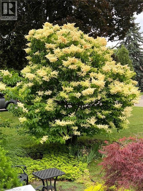 1 Bryant Court, Hamilton, ON - Outdoor