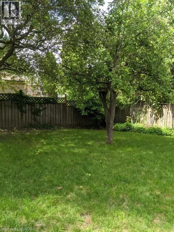 16 Park Street, Kitchener, ON - Outdoor