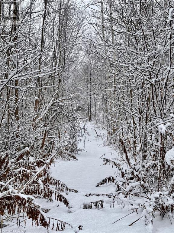 152B Wannamaker Road, Stirling, ON - Outdoor