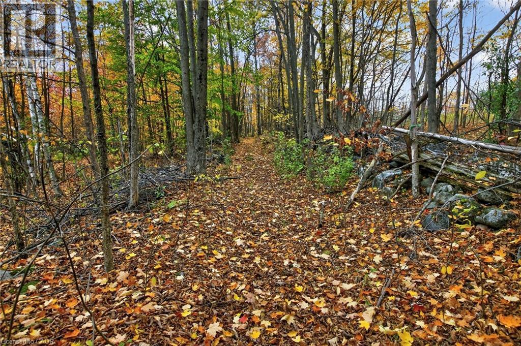 152B Wannamaker Road, Stirling, ON - Outdoor