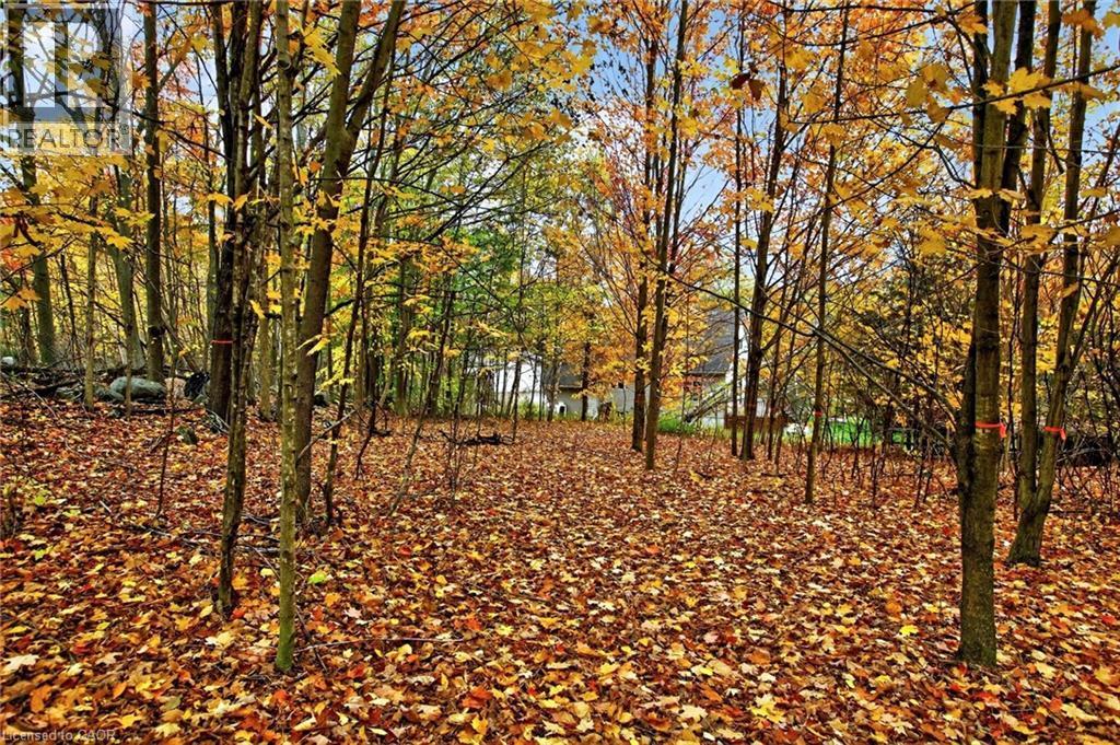 152B Wannamaker Road, Stirling, ON - Outdoor