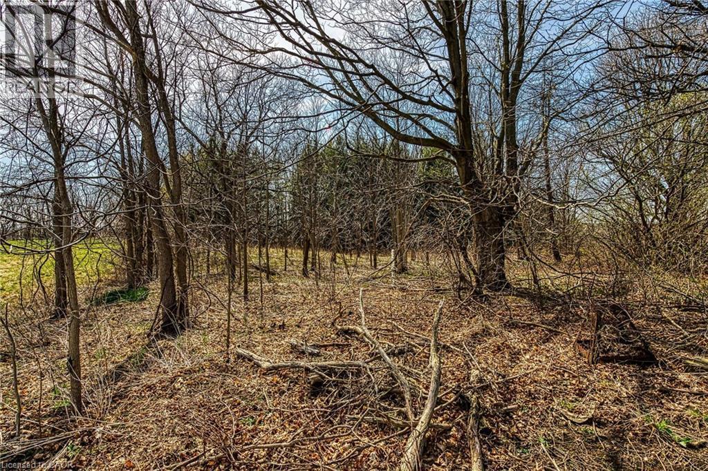 521 Baptist Church Road, Brantford, ON - Outdoor With View