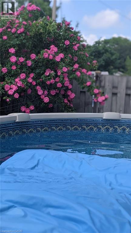 Above ground pool - 22 Redwing Road, Hamilton, ON - Outdoor