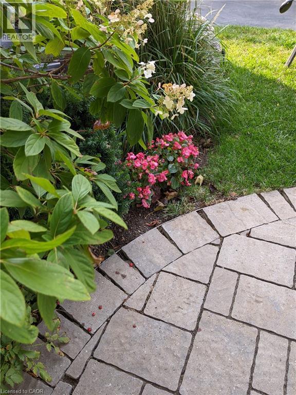 Gardens and Walkway - 22 Redwing Road, Hamilton, ON - Outdoor