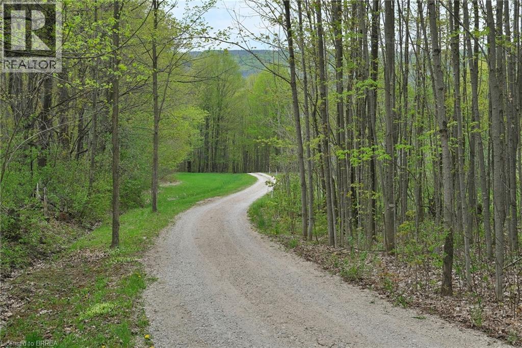 Driveway. - 546299 Sideroad 4B, Kimberley, ON