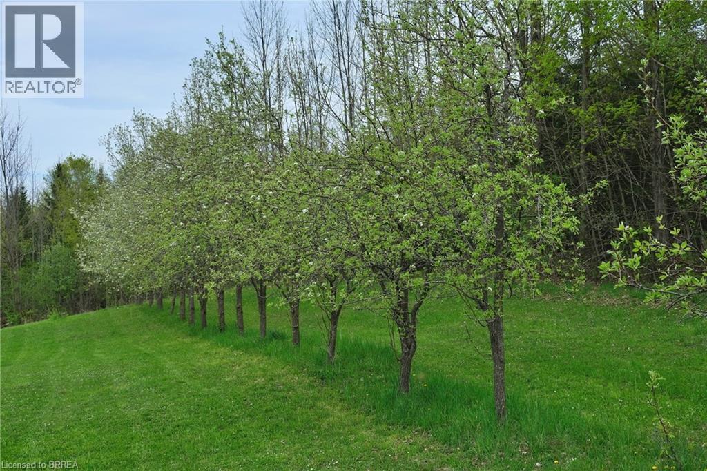 546299 Sideroad 4B, Kimberley, ON