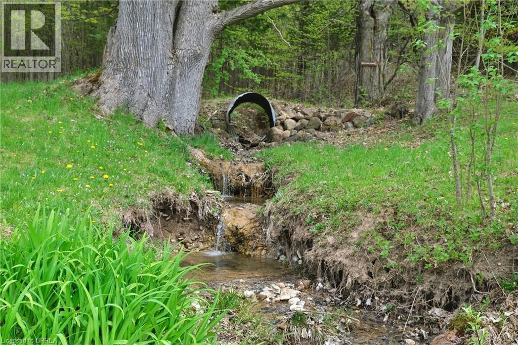 Small creek running near the house. - 546299 Sideroad 4B, Kimberley, ON - Outdoor
