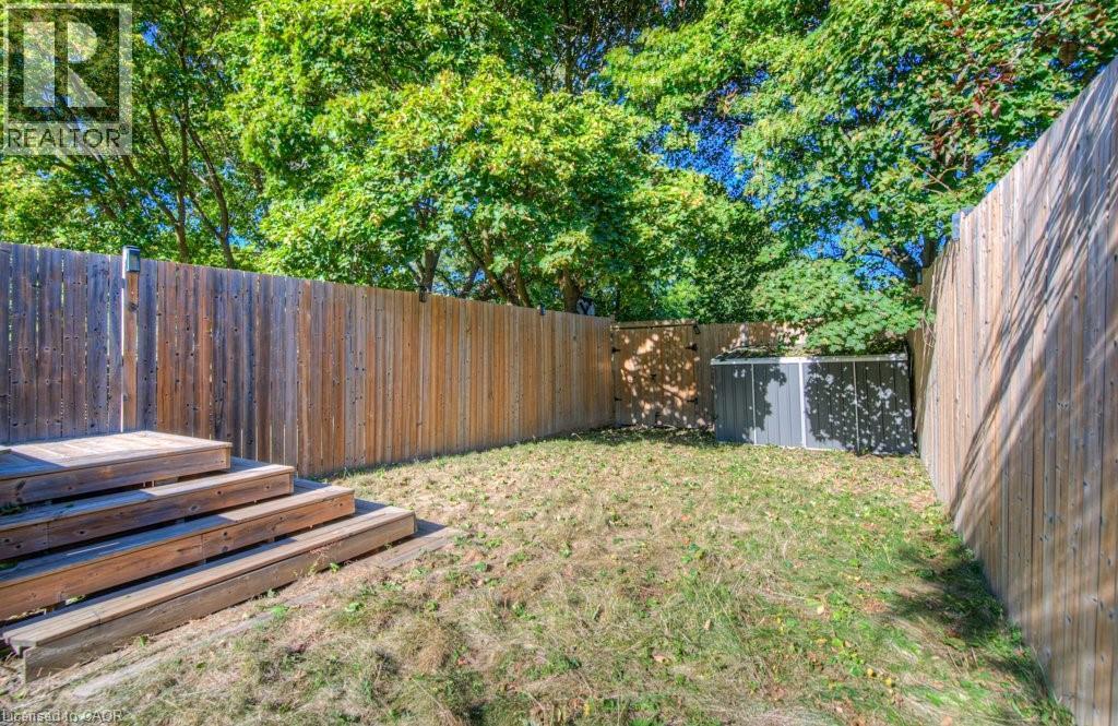 View of fenced backyard - 46 Guerin Avenue, Kitchener, ON - Outdoor