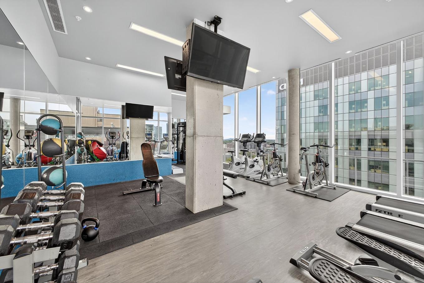 Salle d'exercice - 1007-1150 Rue St-Denis, Montréal (Ville-Marie), QC - Indoor Photo Showing Gym Room