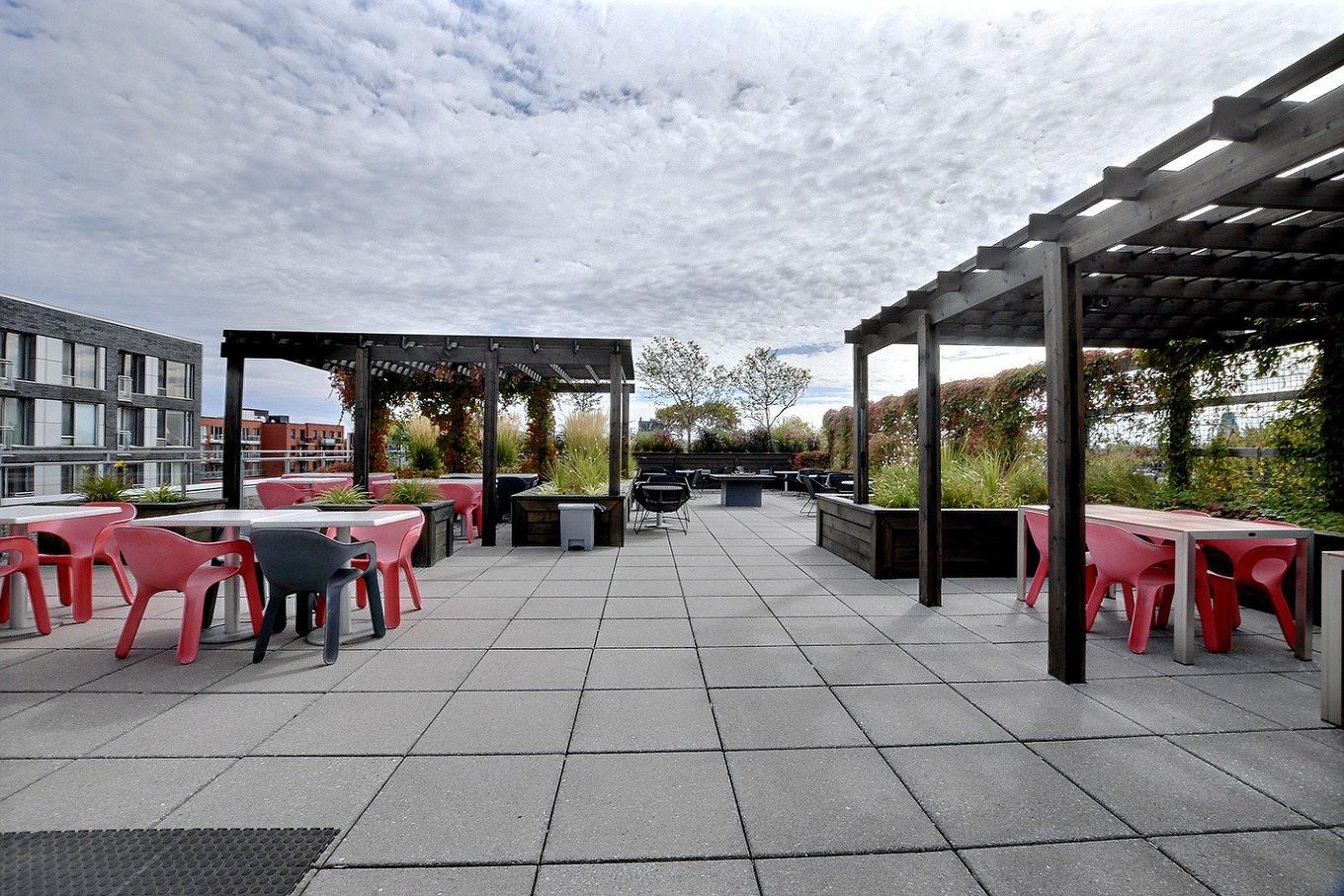 Terrasse - 110-3810 Rue St-Antoine O., Montréal (Le Sud-Ouest), QC - Outdoor