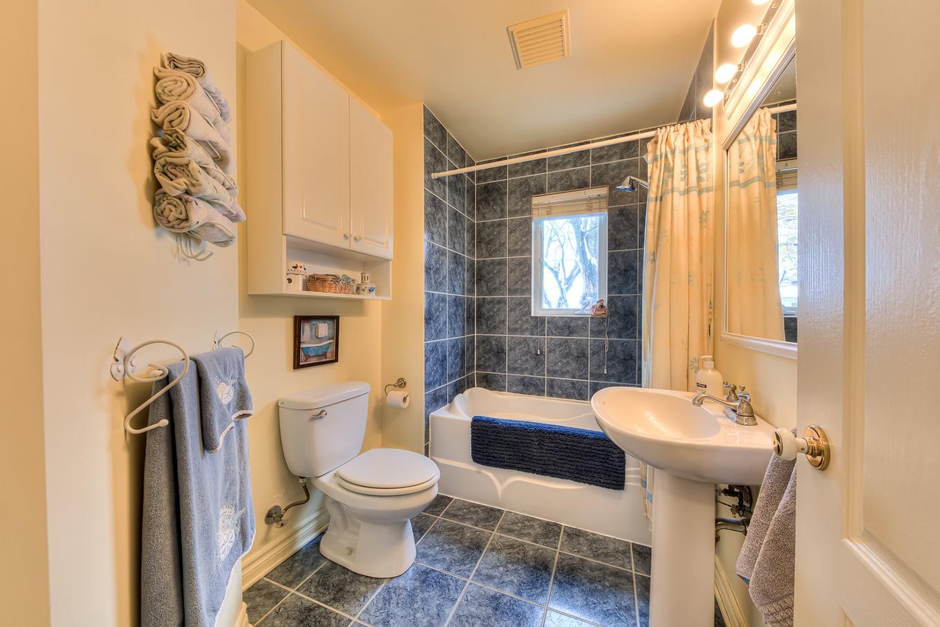Salle de bains - 20 Rue Brosseau, Saint-Basile-Le-Grand, QC - Indoor Photo Showing Bathroom