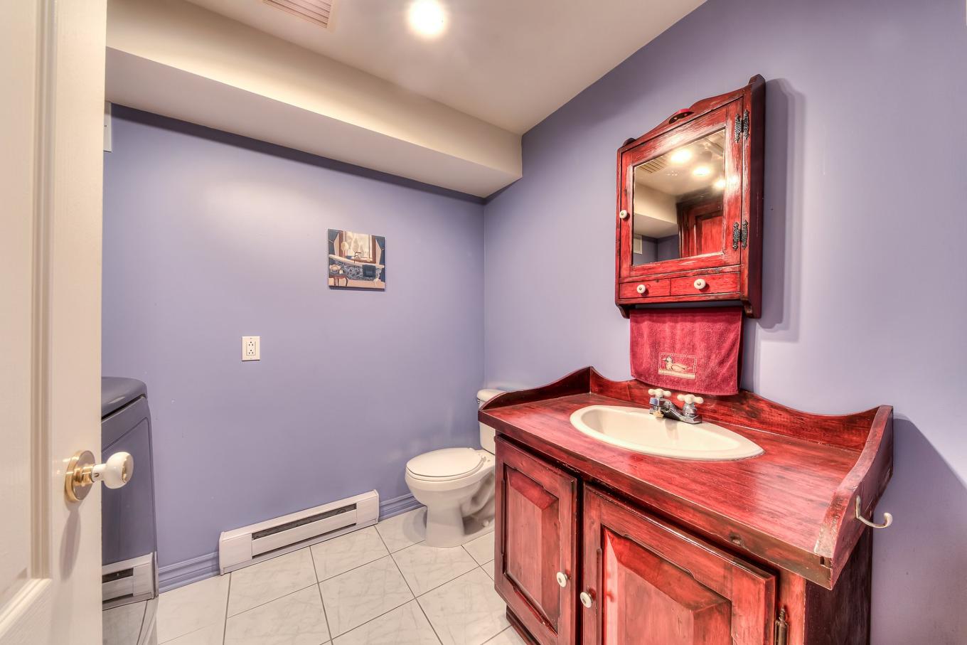 Salle de bains - 20 Rue Brosseau, Saint-Basile-Le-Grand, QC - Indoor Photo Showing Bathroom