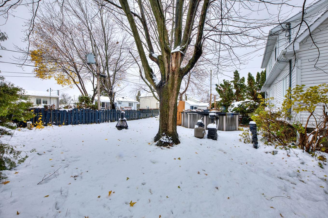 Cour - 20 Rue Brosseau, Saint-Basile-Le-Grand, QC - Outdoor