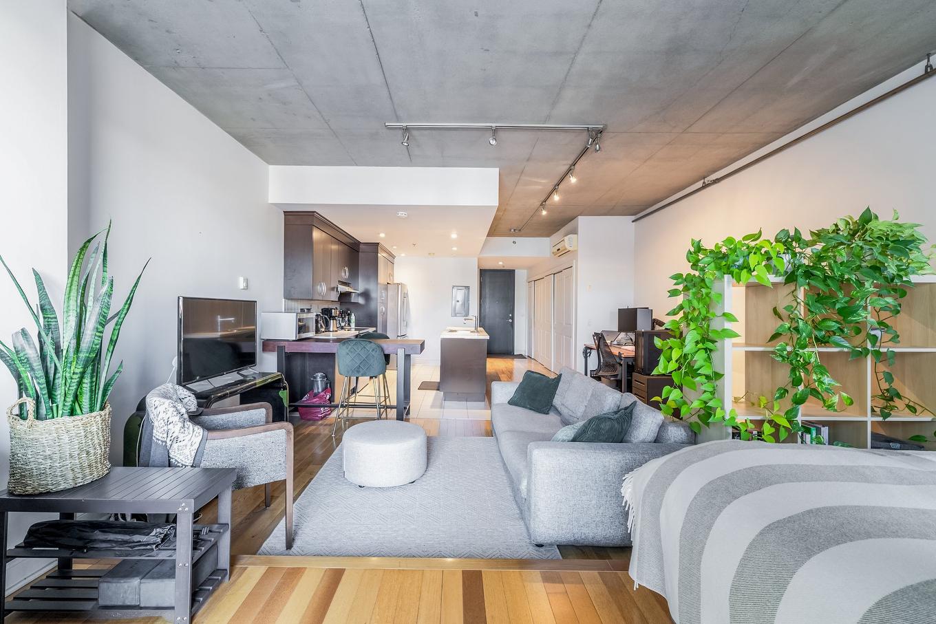 Chambre à coucher - 209-5255 Av. Du Parc, Montréal (Le Plateau-Mont-Royal), QC - Indoor Photo Showing Living Room
