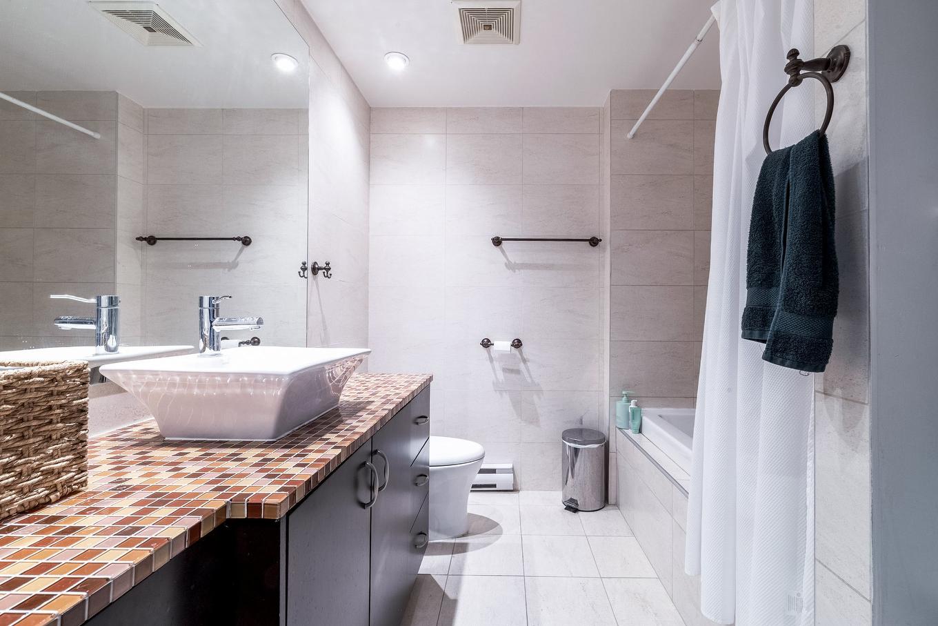 Salle de bains - 209-5255 Av. Du Parc, Montréal (Le Plateau-Mont-Royal), QC - Indoor Photo Showing Bathroom