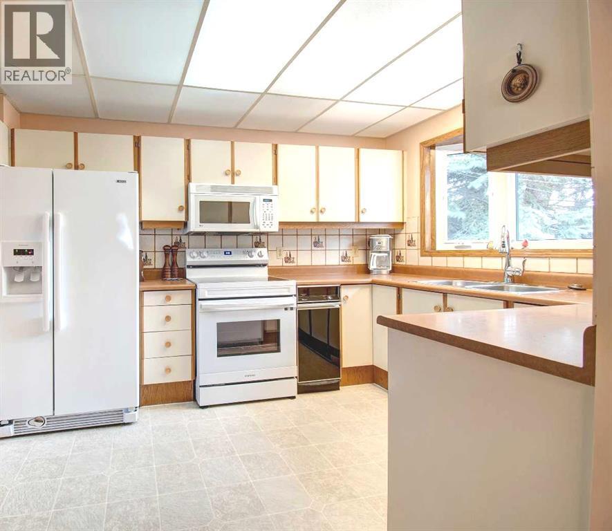 Kitchen - 487 Arlington Drive Se, Calgary, AB - Indoor Photo Showing Kitchen With Double Sink