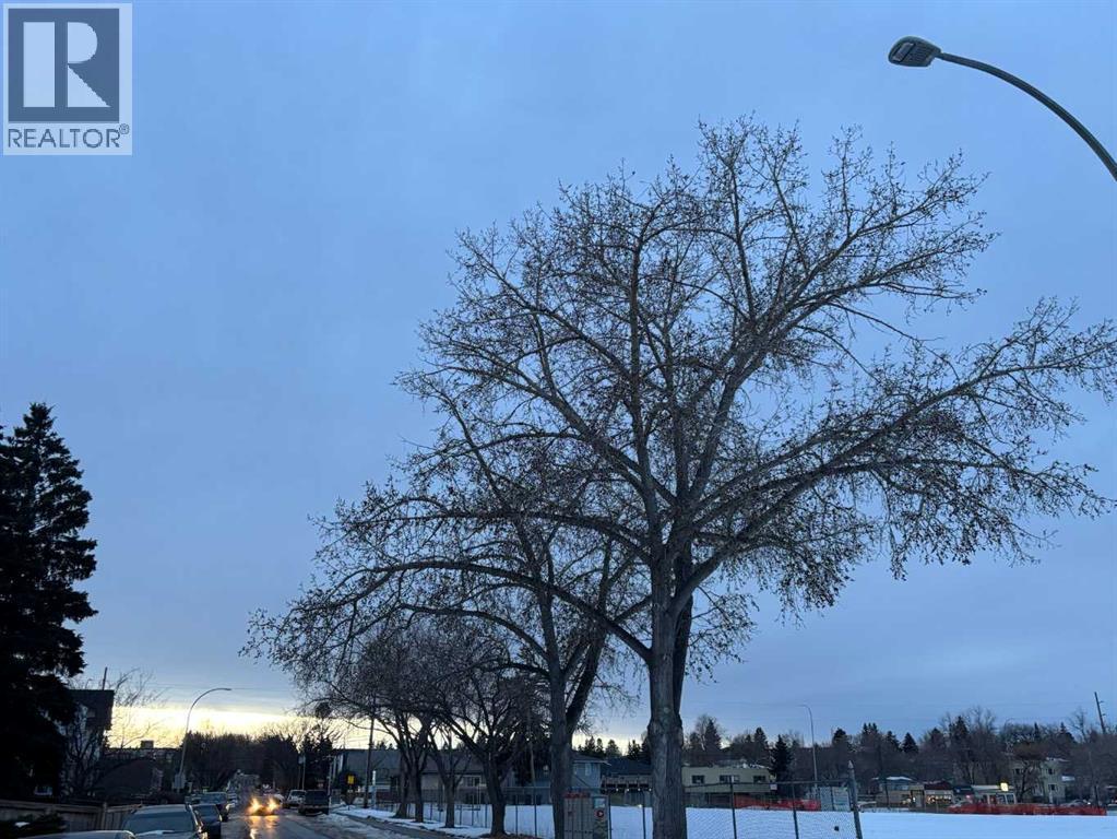 133 28 Avenue Ne, Calgary, AB - Outdoor With View