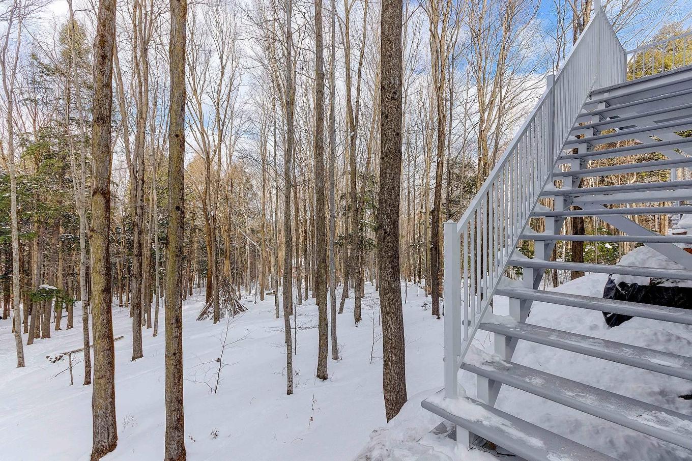 Boisé - 102-141 Rue Du Cercle-Des-Cantons, Bromont, QC - Outdoor