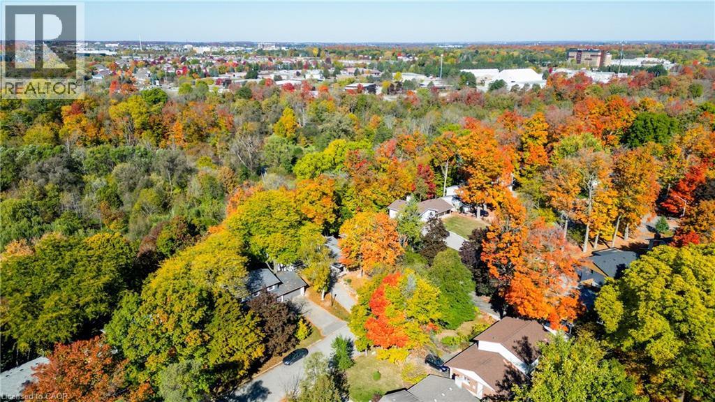 Bird's eye view of a forest - 279 Ferndale Place, Waterloo, ON - Outdoor With View
