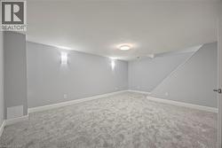Finished below grade area with light carpet -