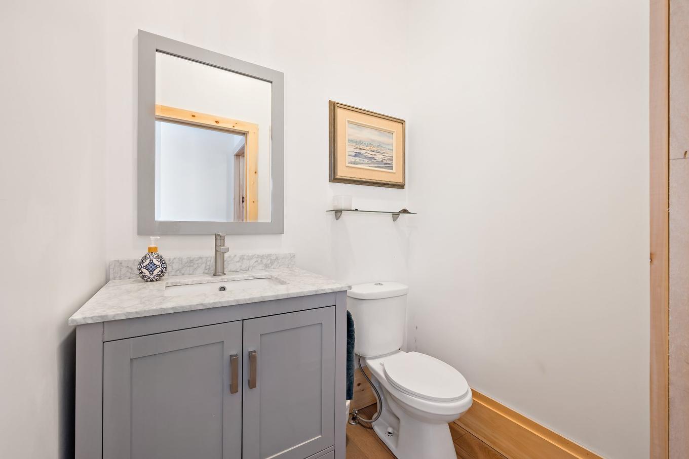 Powder room - 146 Ch. George-Renteln, Labelle, QC - Indoor Photo Showing Bathroom