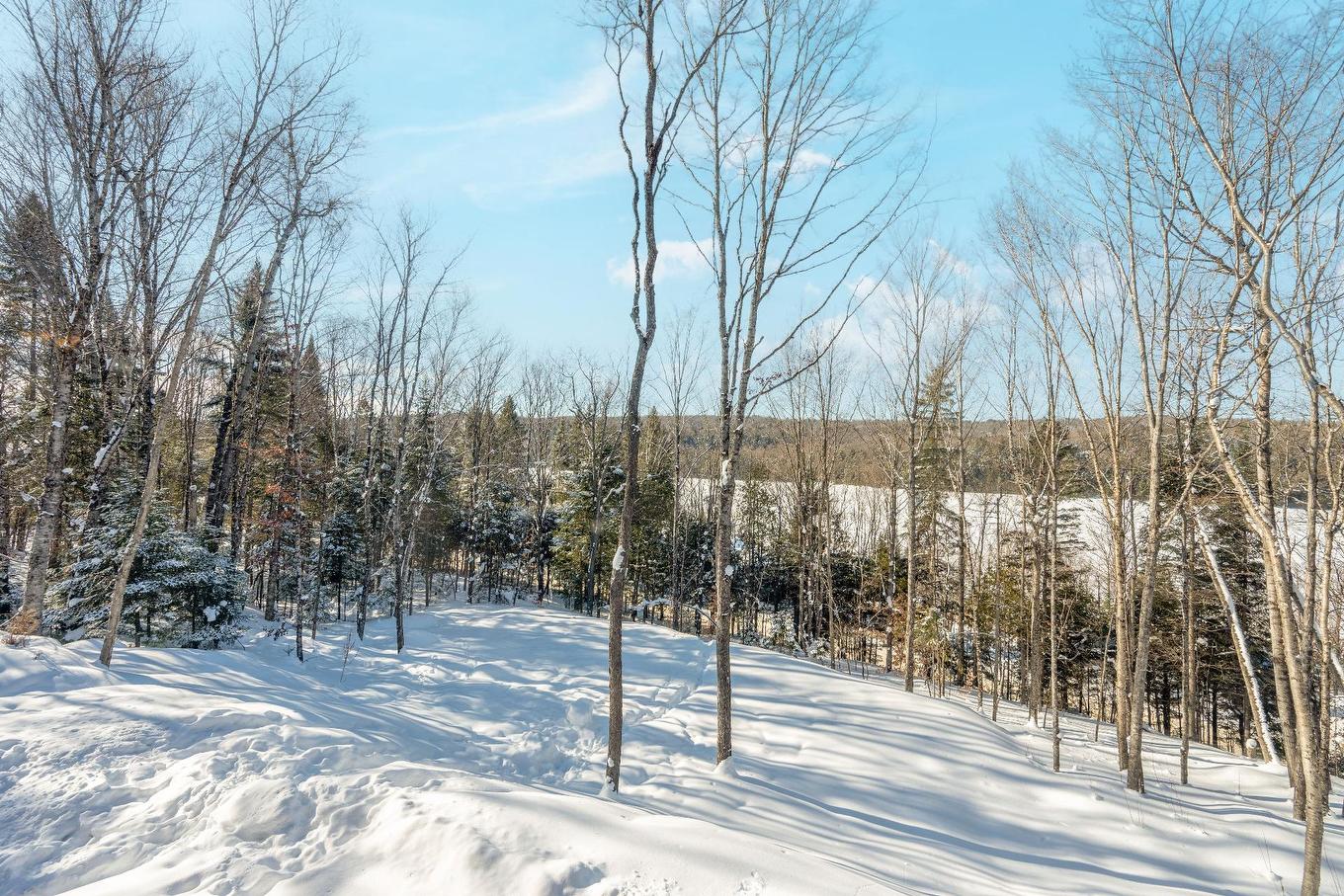 Backyard - 146 Ch. George-Renteln, Labelle, QC - Outdoor With View