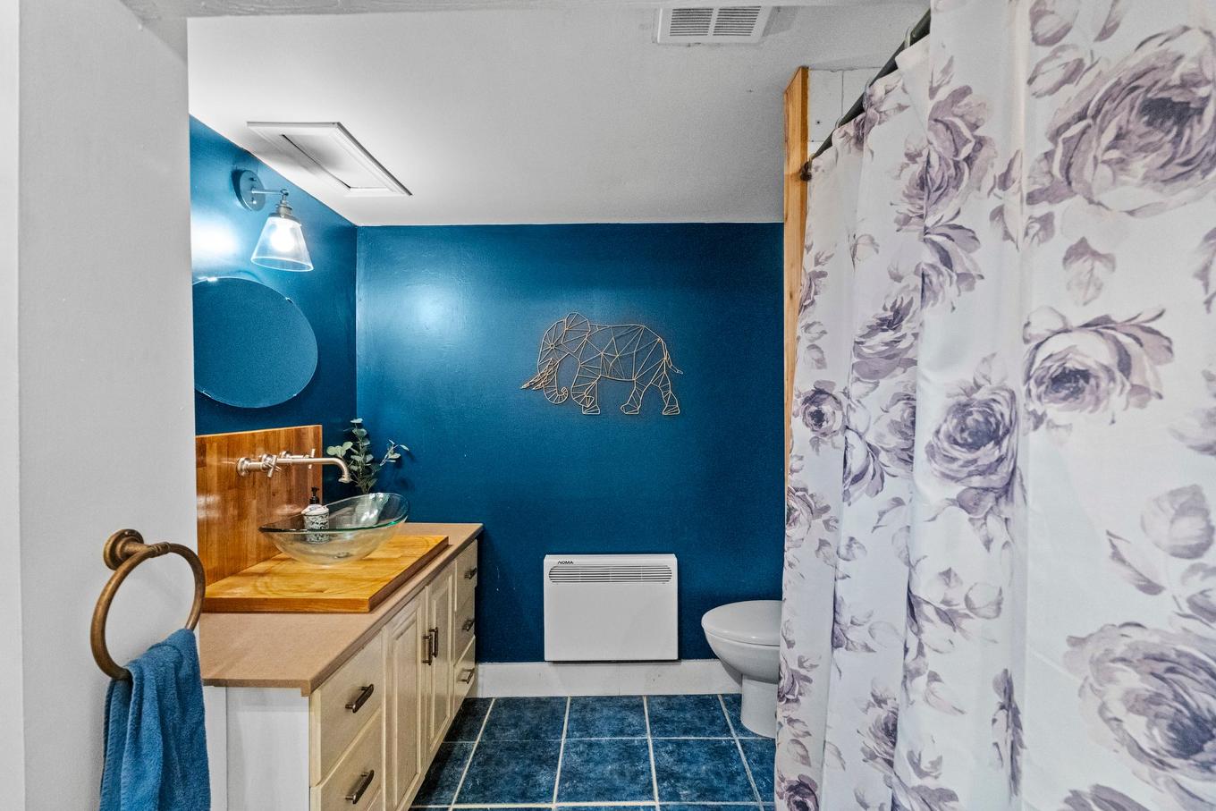 Bathroom - 107 Rue Féré, Saint-Eustache, QC - Indoor Photo Showing Bathroom