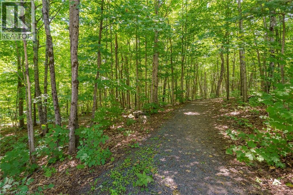 131 Grandview Hilltop Drive Unit# 1, Huntsville, ON - Outdoor