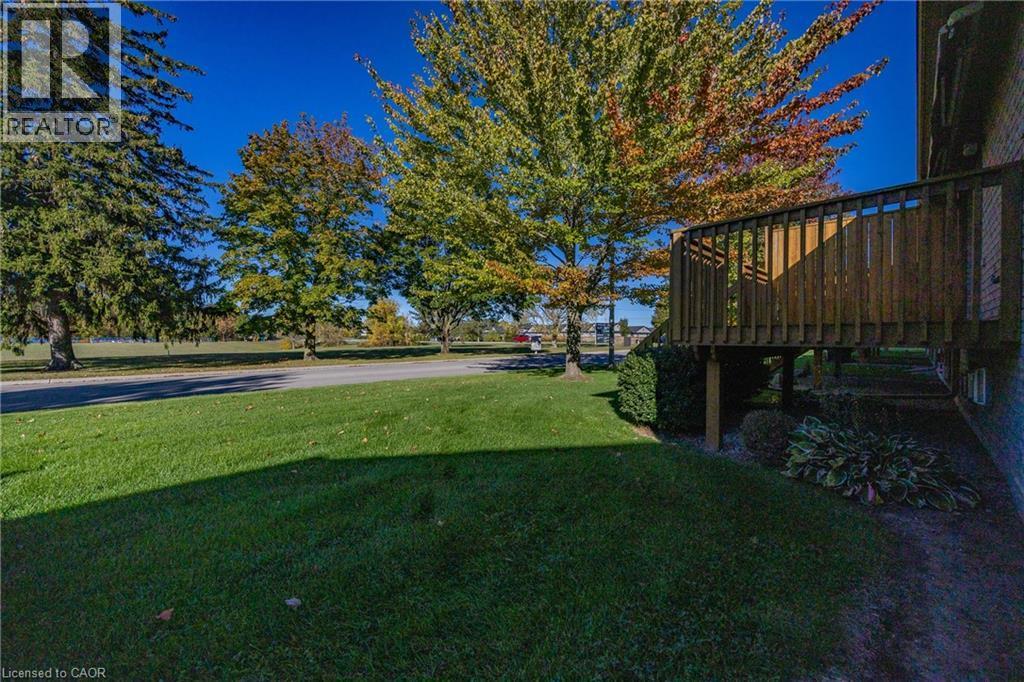 West facing rear yard. Never having rear neighbours. - 510 Queensway W Unit# 5, Simcoe, ON - Outdoor
