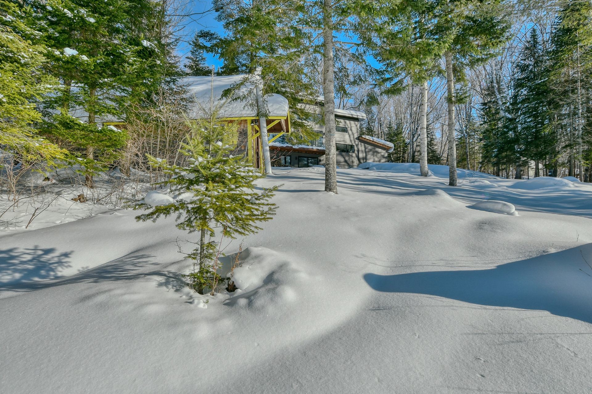 Cour - 479 Ch. Du Lac-Des-Cornes, Chute-Saint-Philippe, QC - Outdoor With View