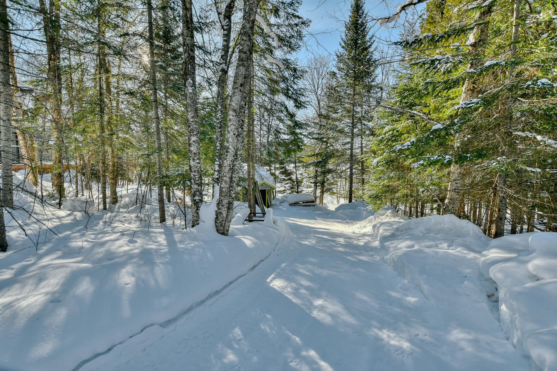 Cour - 479 Ch. Du Lac-Des-Cornes, Chute-Saint-Philippe, QC - Outdoor With View