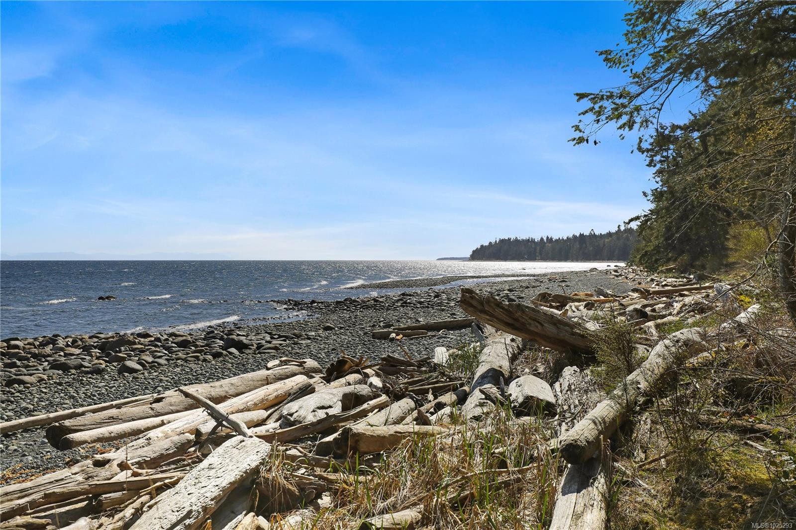 6520 Eagles Dr, Courtenay, BC