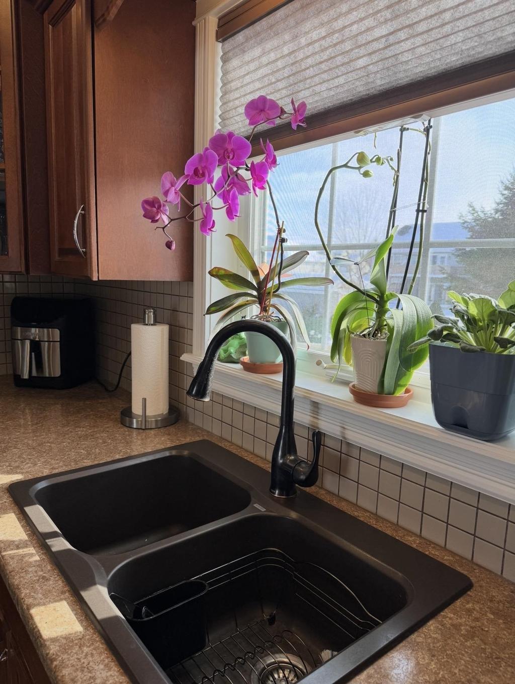 36 Picton Beete Crescent, Stratford, PE