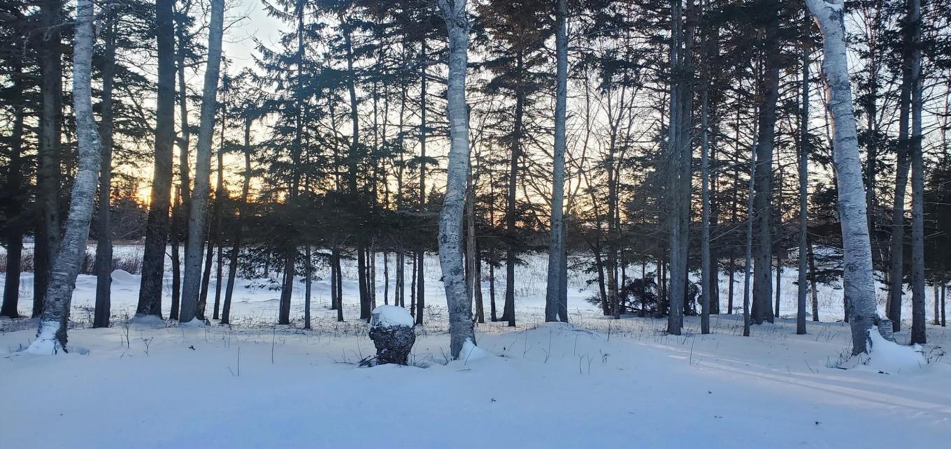 127 Peters Road, Pembroke, PE