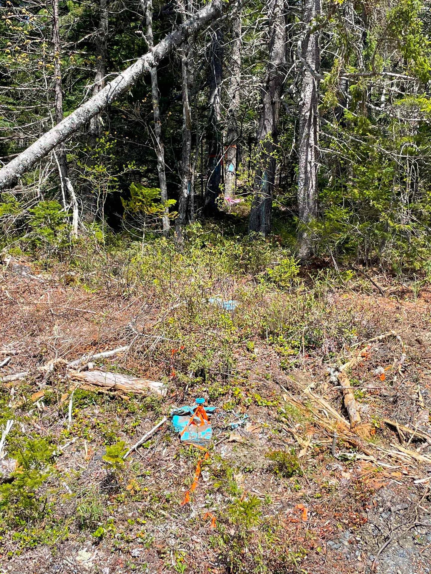 Lot 6 Waterloo Road, Waterloo, NS