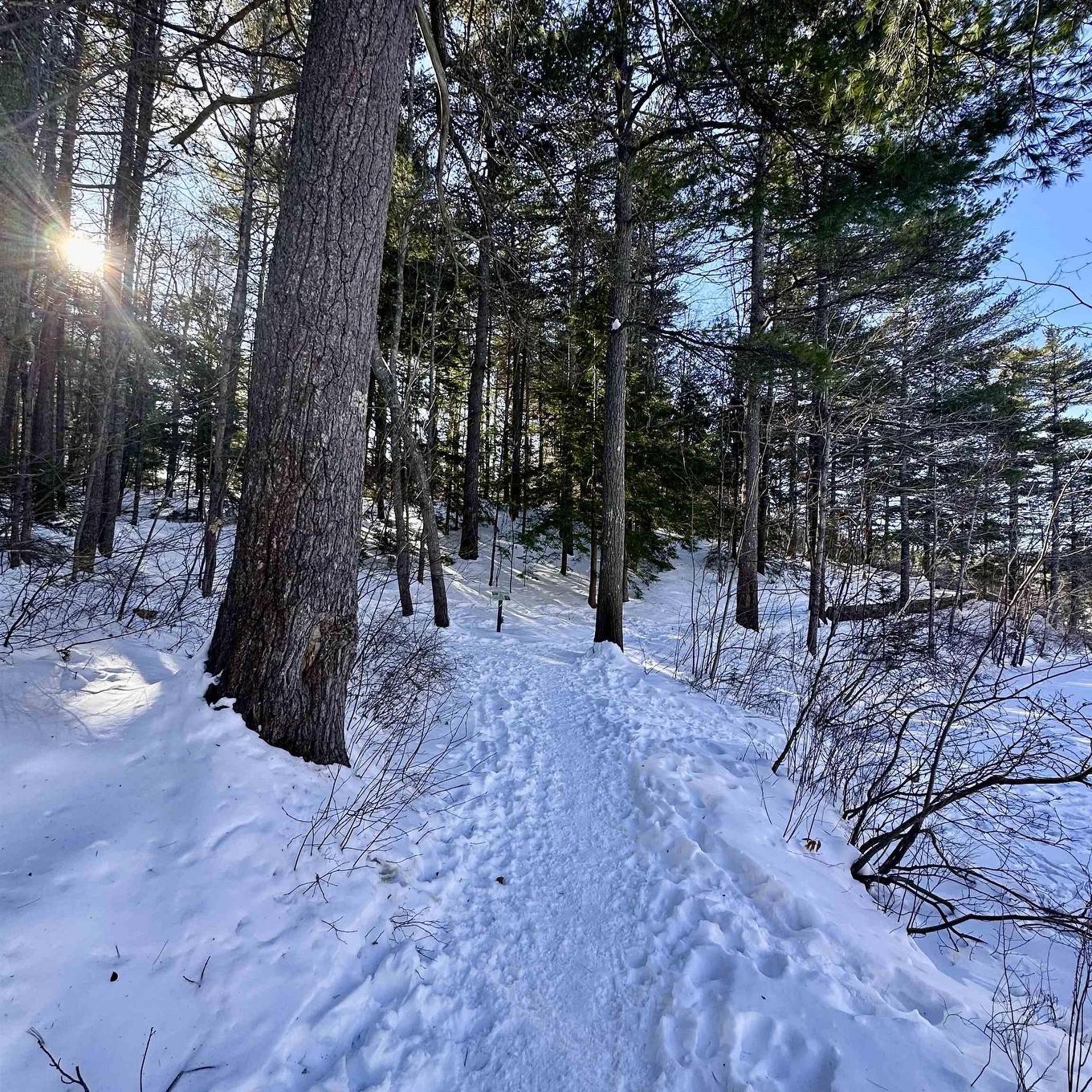 213 Alexandra Avenue, Bridgewater, NS