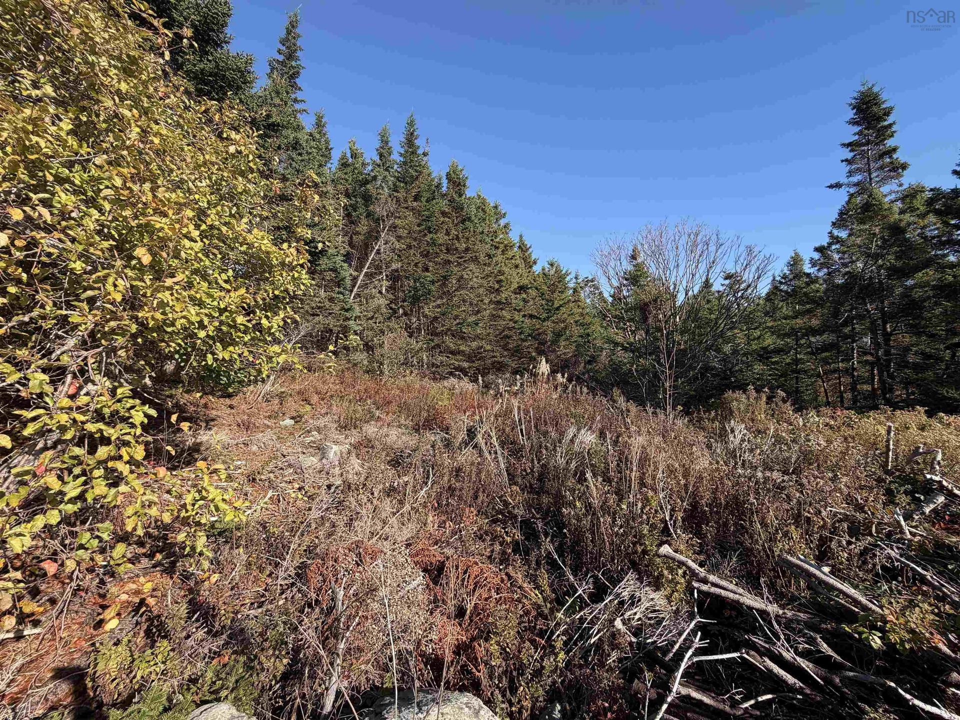 429 Highway 7, Ecum Secum, NS