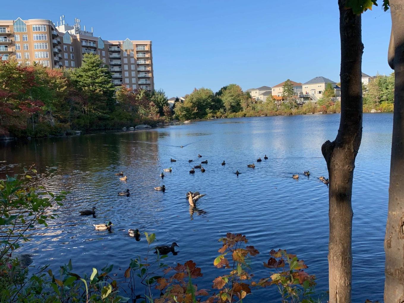 711 202 Walter Havill Drive, Halifax, NS